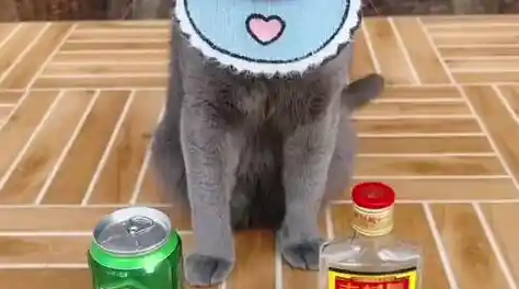 谁说换装游戏不能撸宠?以闪亮之名国际服》给你穿搭与萌宠的双倍快乐! 谁说换装游戏不能撸宠?以闪亮之名国际服》给你穿搭与萌宠的双倍快乐!