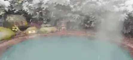 音乐与视觉的完美结合？冰与火之舞手机版》唯美动态画面岂容错过？