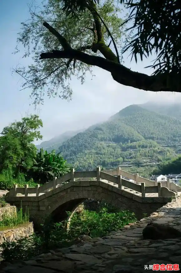 想知道《旅行青蛙》里的小家伙下次会带回怎样的风景？快来发现吧！