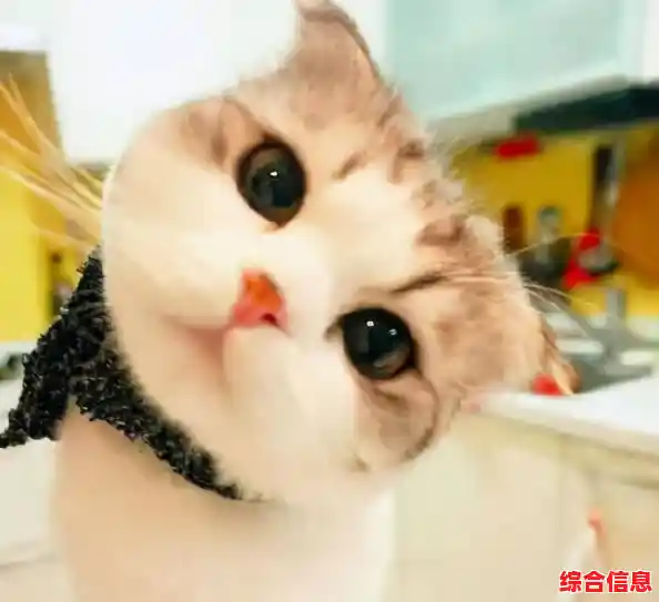 喜欢模拟经营?成为一只猫》带你感受猫咪的日常,互动、探索两不误! 喜欢模拟经营?成为一只猫》带你感受猫咪的日常,互动、探索两不误!