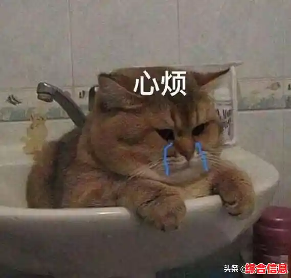 什么游戏能让你边笑边救猫猫?画线救猫猫》的创意玩法绝了! 什么游戏能让你边笑边救猫猫?画线救猫猫》的创意玩法绝了!