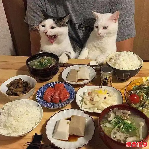 想轻松拥有中文模式的休闲神作？猫咪大战争正版》的Q萌战场你怎能错过？